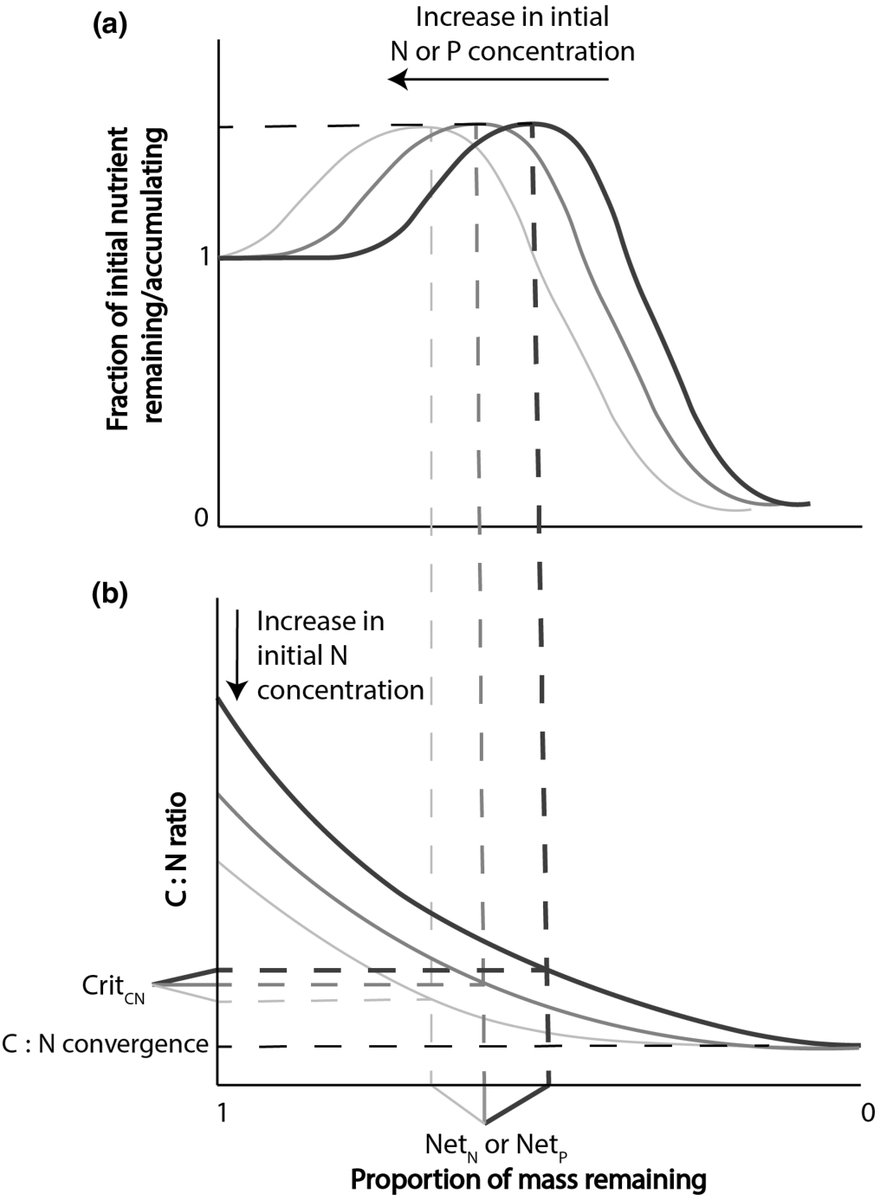 New Phytologist (@newphyt) on Twitter photo Faster than expected: release of nitrogen and phosphorus from decomposing woody litter
Wijas et al. @BapsWijas <a href="/will_cornwell/">Will Cornwell</a> @AmyZanne
📖 nph.onlinelibrary.wiley.com/share/WWDDDMRE… Faster than expected: release of nitrogen and phosphorus from decomposing woody litter
Wijas et al. @BapsWijas <a href="/will_cornwell/">Will Cornwell</a> @AmyZanne
📖 nph.onlinelibrary.wiley.com/share/WWDDDMRE…