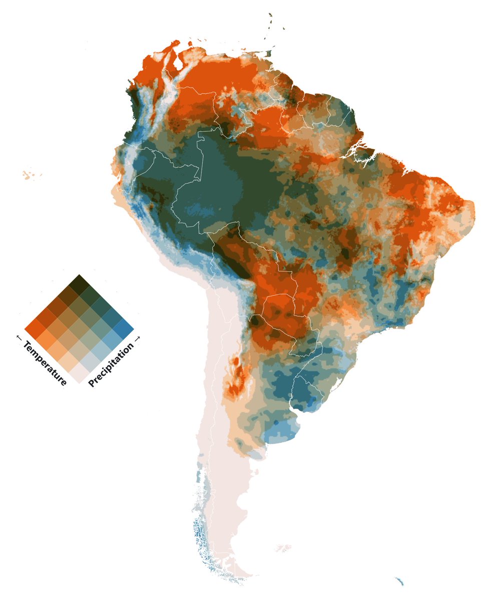 Joe Davies tweet media