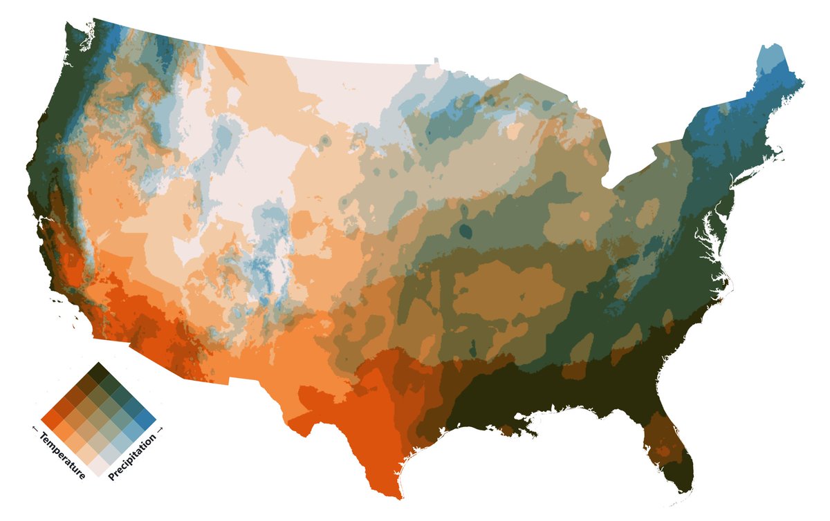 Joe Davies tweet media