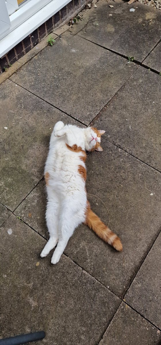 Phill Hicks tweet media