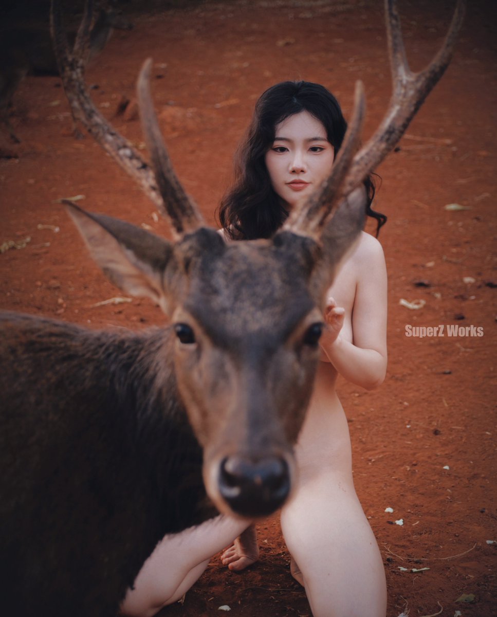 媒体预览