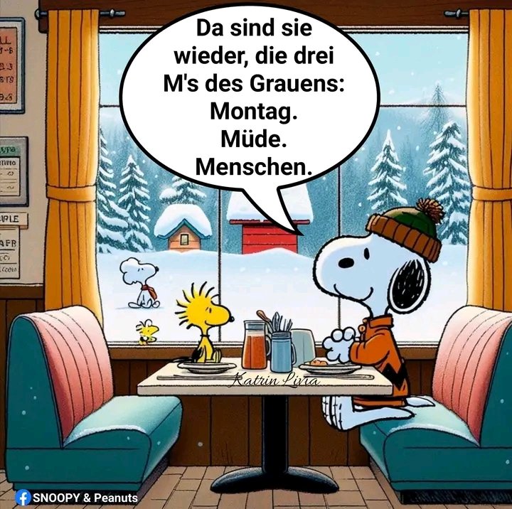 Püppi 🛟⚓️❤️🛟⚓️❤️ tweet media