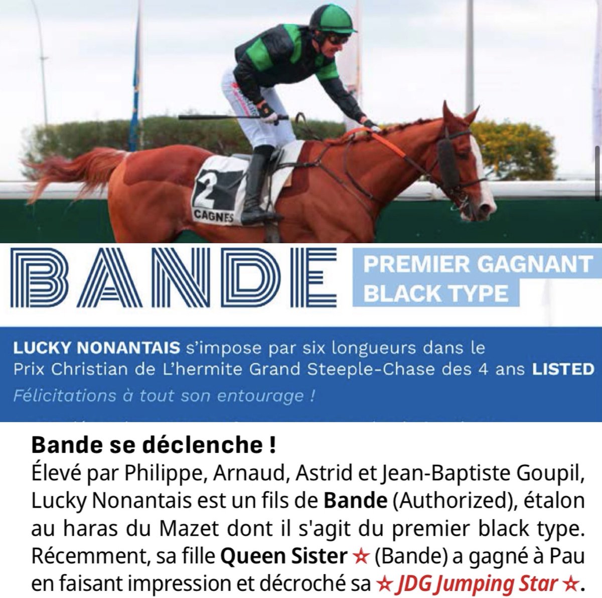 BANDE rising Jump Stallion🇫🇷 by AUTHORIZED half to DOCTOR DINO 🎯
“What else?”☕️