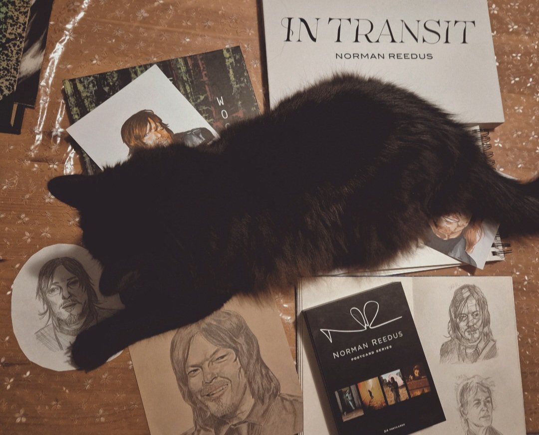 moonlightadele's tweet image. Happy birthday 🐈‍⬛ @wwwbigbaldhead 🎂🫂💖
#normanreedus