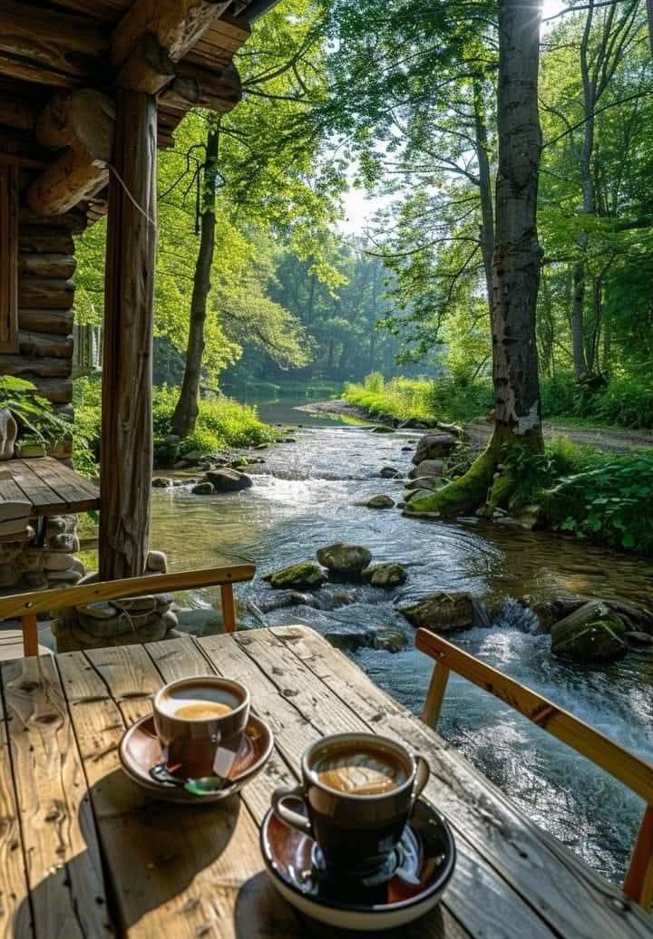 Beautiful morning 🌹🌿☕🌿☀️