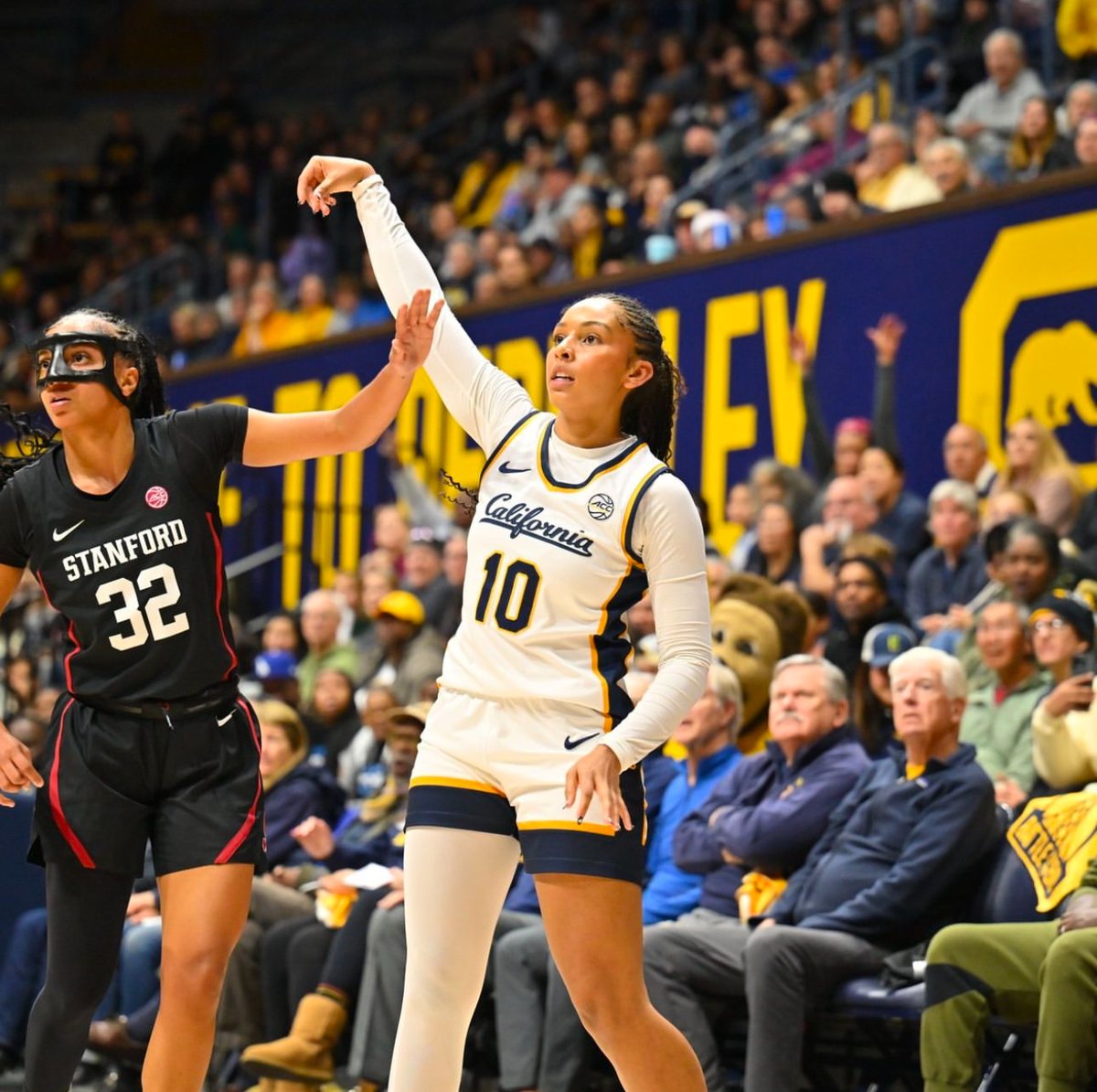 hoopdreams 🐻💙💛 tweet media