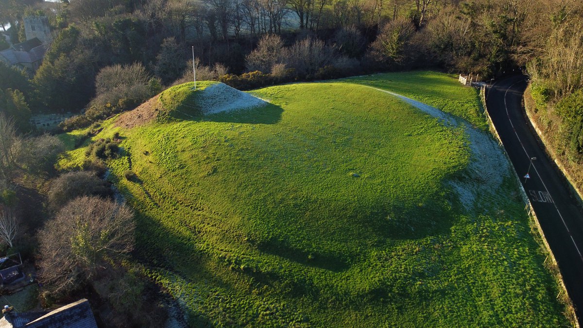 Forest:Archaic Collective tweet media