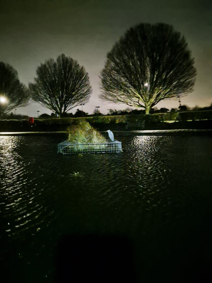 Running2staysa1's tweet photo. 5 rainy, windy miles to kick off the week. Horrid weather, poor legorunbuddy couldn't stand up.  Didn't want to get up but was rewarded by seeing Mr Heron. #running2keepthecrazyaway #legorunbuddy #running #morningmiles #runningintherain #mentalhealth https://t.co/rF9KjLOCk4