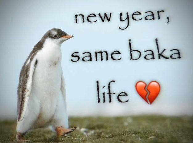 hourly_shitpost's tweet image. 