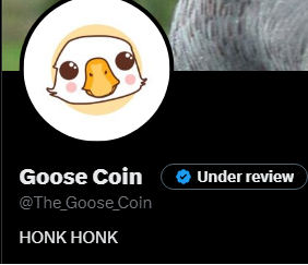 We will be launching soon on Solana, just getting our geese in a row to have the best launch possible. Details will be posted well in advance of the launch of its time.