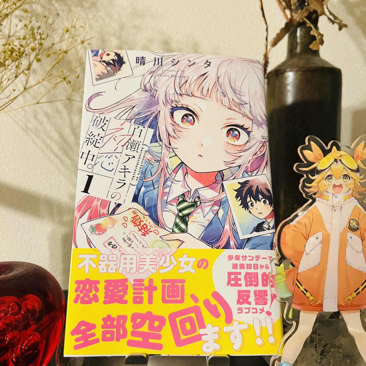 百瀬アキラの初恋破綻中。(1) 晴川シンタ 直筆サイン本 新品未読品 特典付き 百瀬アキラの初恋破綻中。(1) 晴川シンタ 直筆サイン本 新品未読品