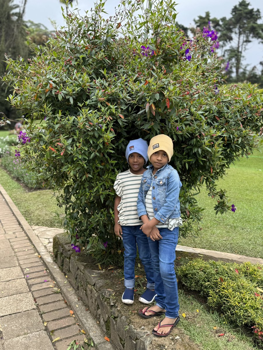 ShamreenSuhail's tweet photo. December 2024 Trip to #NuwareEliya https://t.co/ppJAh6pc5C