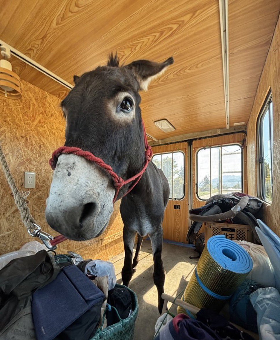 このヤマトの車、トヨタの「クイックデリバリー」というらしいんだけど