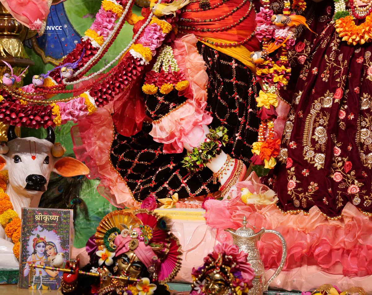 ISKCONPune's tweet photo. 🙏🏽Today's Darshan 📿 🗓06-01-2025🙏
🌷Sri Sri Radhavrindavanchandra🌷
🚩@ISKCONNVCCPune🚩
.
.
#ISKCONNVCC #ISKCONPune #ISKCONNVCCPune #ISKCON
#6thjanuary #6thjanuary2025 #Monday
#Harinaamsankirtan #Radheshyamdas #Radheradhe
#Sankirtan #Kirtan #Vrindavan #Mayapur #Prabhupada
#GVE https://t.co/6kcye5qVFF