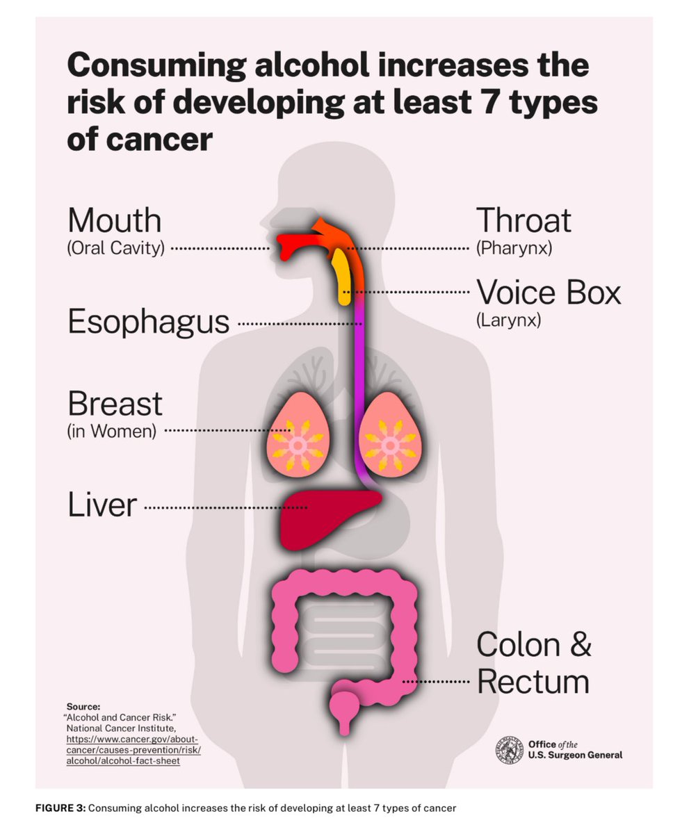 soykarenkruger's tweet photo. El alcohol incrementa el riesgo de por lo menos 7 tipos de cáncer

Fuente: Alcohol and Cancer Risk: The U.S. Surgeon General’s Advisory 2025 https://t.co/EJXngiBRRB