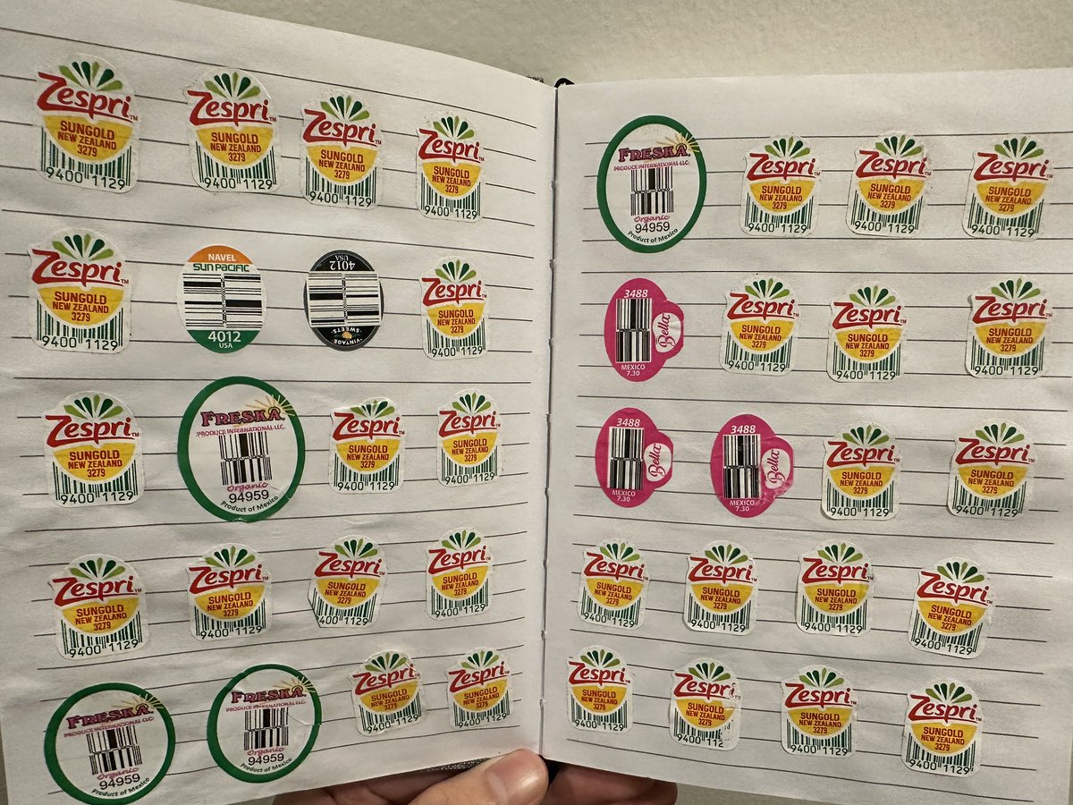 Alexander X. Chen tweet media