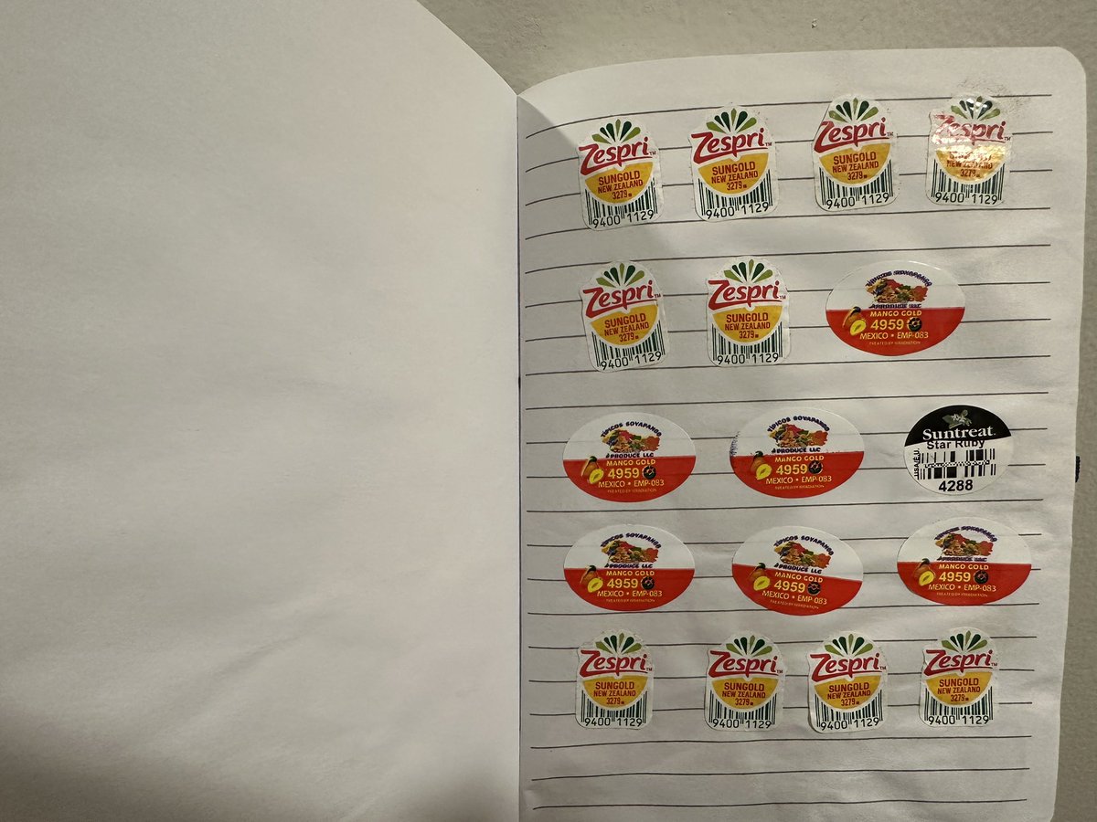 Alexander X. Chen tweet media