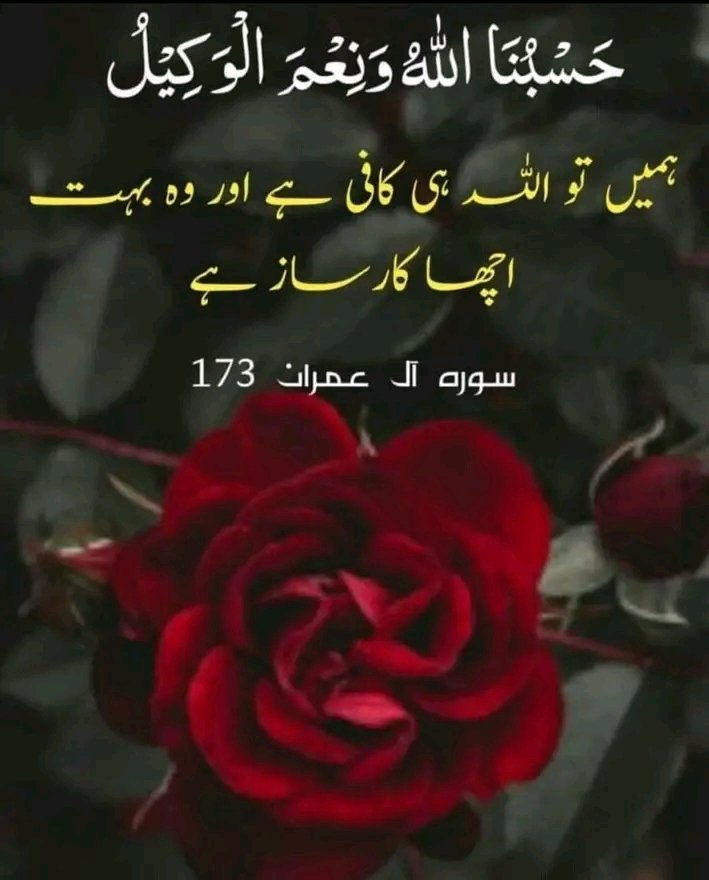 M.Umer (@m_umer_99) on Twitter photo 