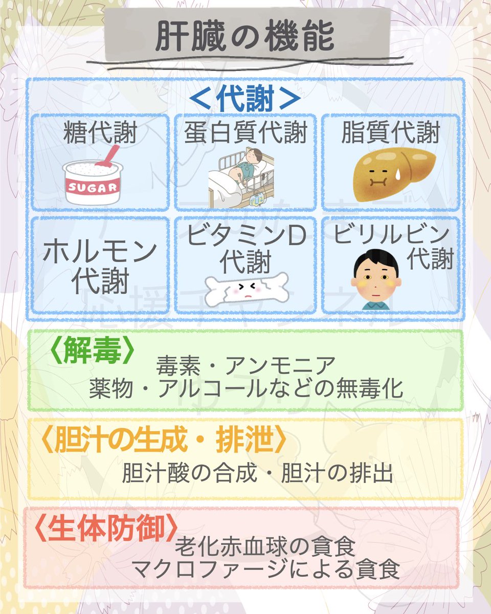 yuri_nurse39's tweet photo. ＜肝臓の機能＞
#看護師国家試験 #看護学生 https://t.co/fm4nqTfg9Y