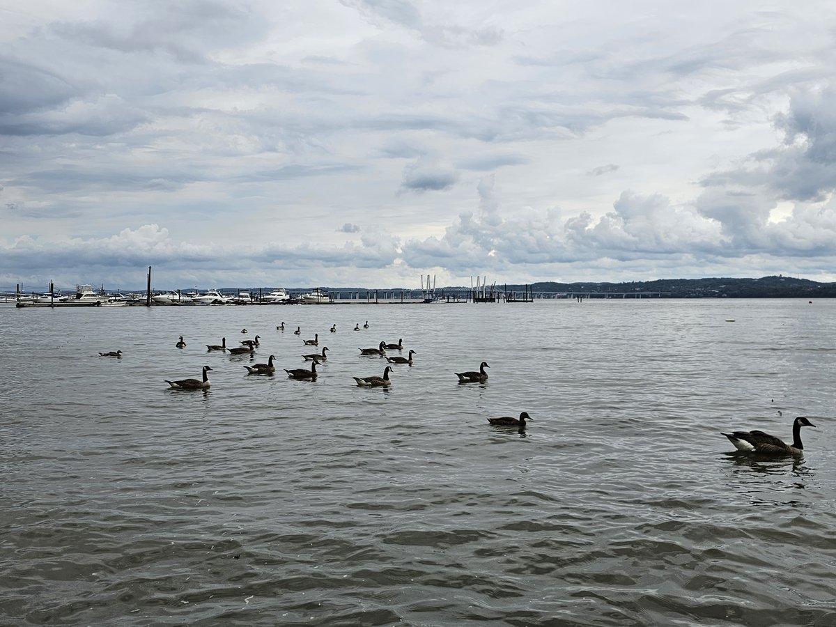 DailyPicTheme2's tweet image. Wednesday 8 January

Today’s Daily Picture Theme is ‘Join'

RT or reply with your own photo 

Tomorrow’s theme will be ‘Kind of'

#DailyPictureTheme

#join the parade?