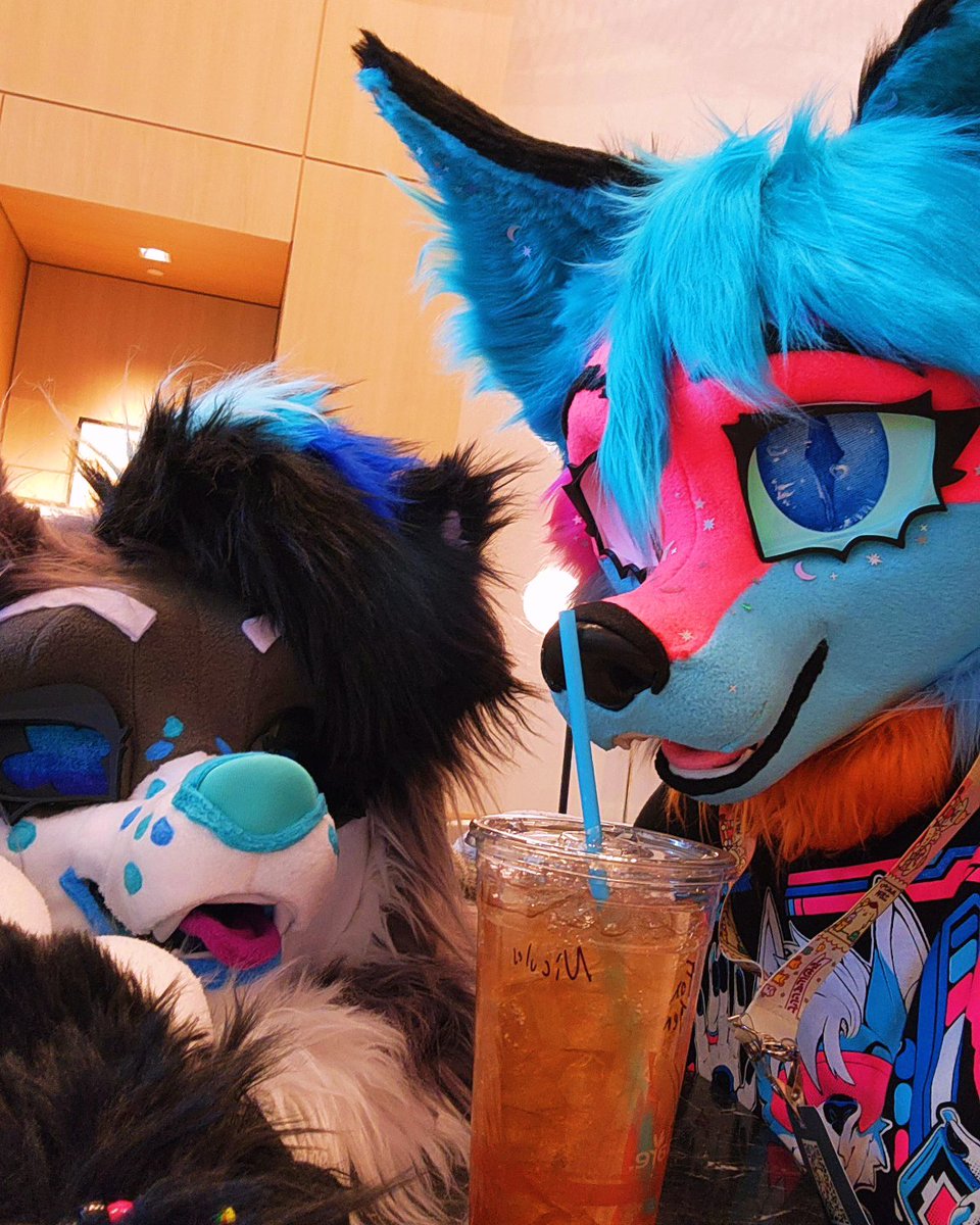 CaptinMangletty's tweet image. ~ PDFC 2025 ~ had so much fun with @MichiPhox this year!! 💖 met some cool people and overall had a great time!  #furry #fursuit #pdfc #pdfc2025
