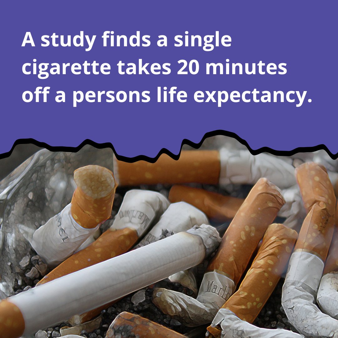 New research from University College London indicates that a single  cigarette could shorten a person's life by about 20 minutes, or 7 hours per  20-pack. A smoker who consumes 10 cigarettes a