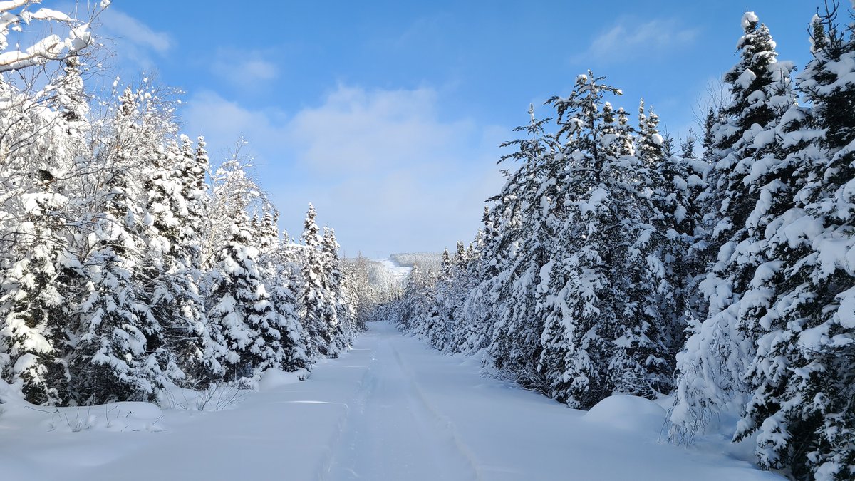 Happy (Belated) New Year
A bit late, but back from a quick snow trip