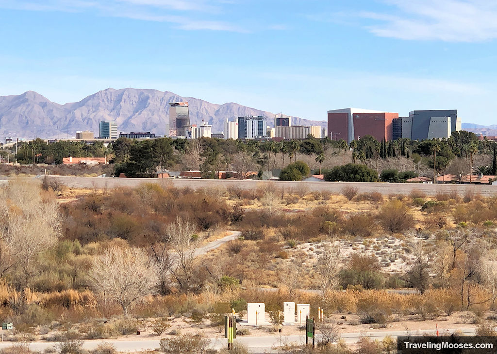 TravelingMooses's tweet photo. Las Vegas has a nature preserve where you can explore 3+ miles of trails, learn about desert ecosystems, AND visit a butterfly habitat. Springs Preserve is a desert oasis you won't want to miss.
Learn more:
https://t.co/1OgtVvjRqt
#vegasnatureescape https://t.co/YBfAWHl9fB