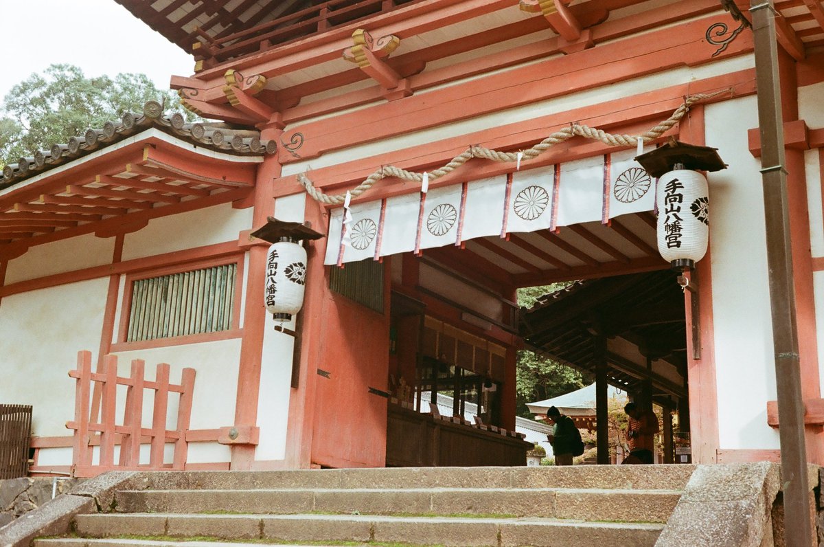AN9picture's tweet photo. お参り
Canon Canonet QL17
ProImage 100

#film #フィルム写真 #Canonet #QL17 #ProImage100 #snapshot https://t.co/sLvtBXu3Bo