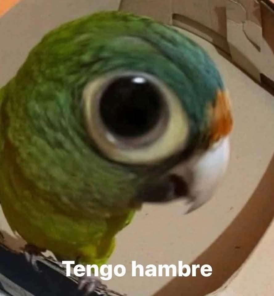 Alex Castro🌮 tweet media