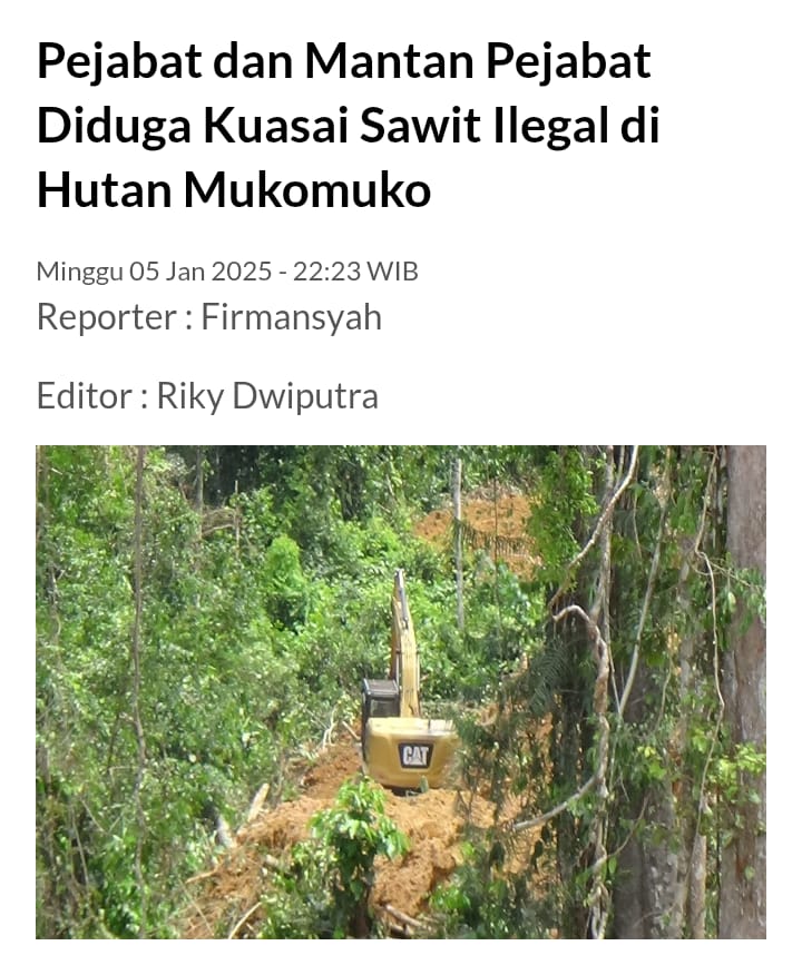 Kapan pemerintah akan serius dalam melindungi hutan jika Sawit Ilegal terus diputihin