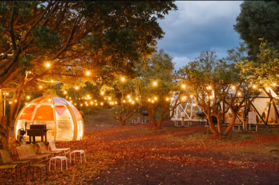 오랜만에 인사드립니다
모두 새해 복 많이 받으시고 건강하세요

오늘부터 일기예보상 제주도에 눈이 많이 내릴 거 같습니다.

눈 오는 날 센치해져 바비큐장에서 한잔하실 분들 모십니다

목적이 없어도 좋고 있어도 좋고
편안한 돔 형 바비큐장에서 눈 내리는 하늘 보며 한잔하시죠

#이번주내내