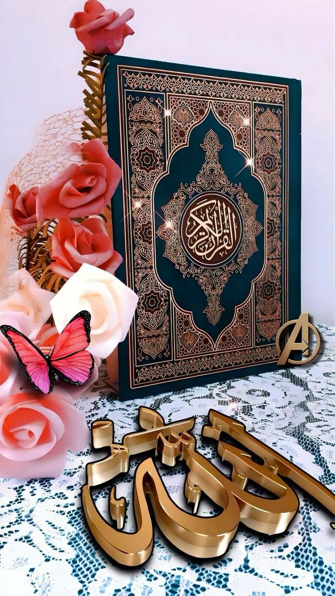 good morning 
have nice day