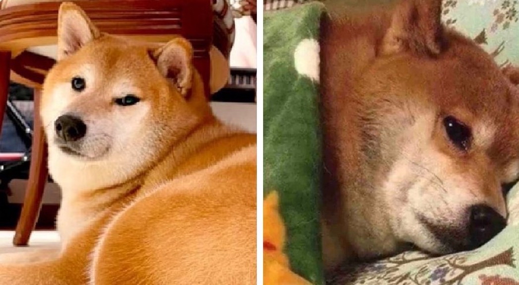 Yo el primero de enero diciendo que este es mi año // Yo ahorita