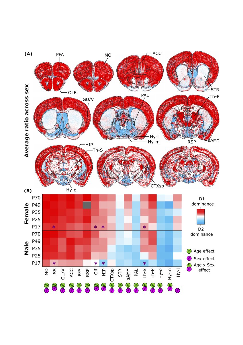 Dr Jee Hyun Kim tweet media