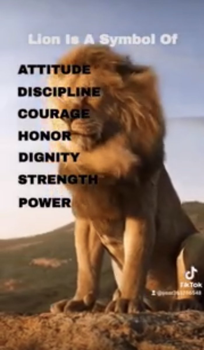 Lions win again!