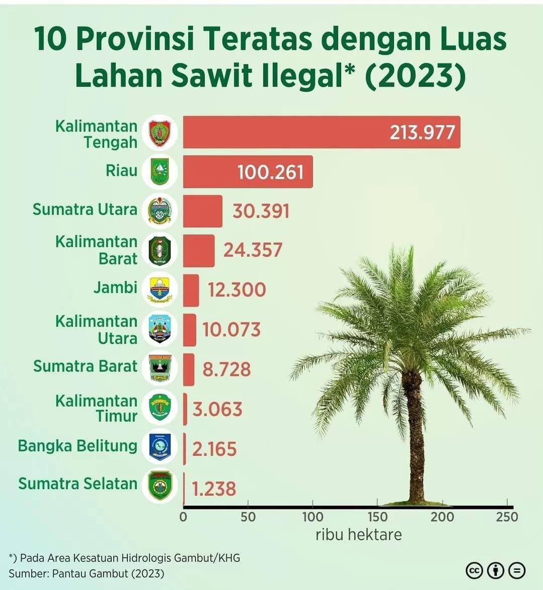 Masa depan kita ada di hutan, bukan di lahan Sawit Ilegal yang cuma bikin negara rugi dan lingkungan hancur!