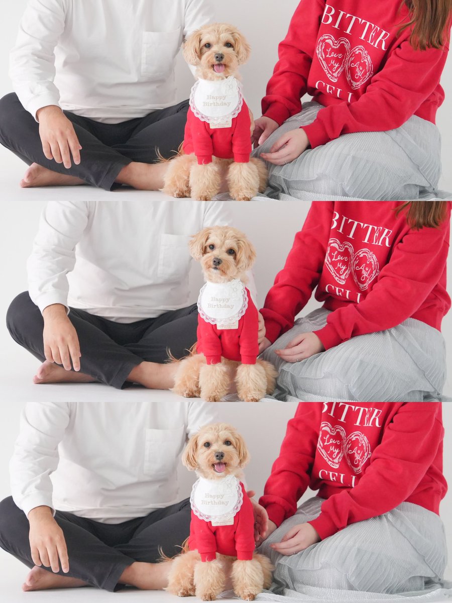 Noa11301's tweet photo. あけましておめでとうございます🎍⛩️✨
今年もよろしくお願いします🐶🩷 https://t.co/sU0OvK7FYX