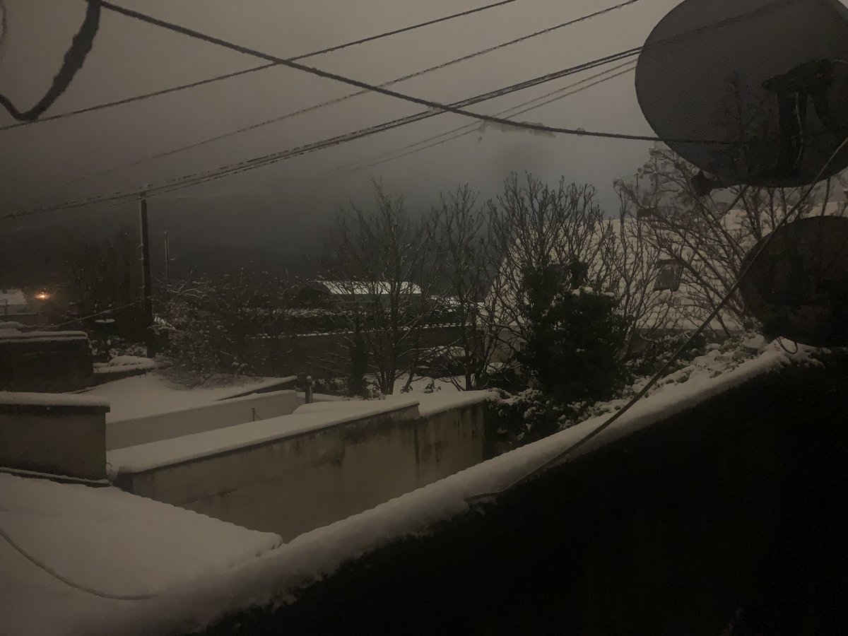 Odassity tweet media