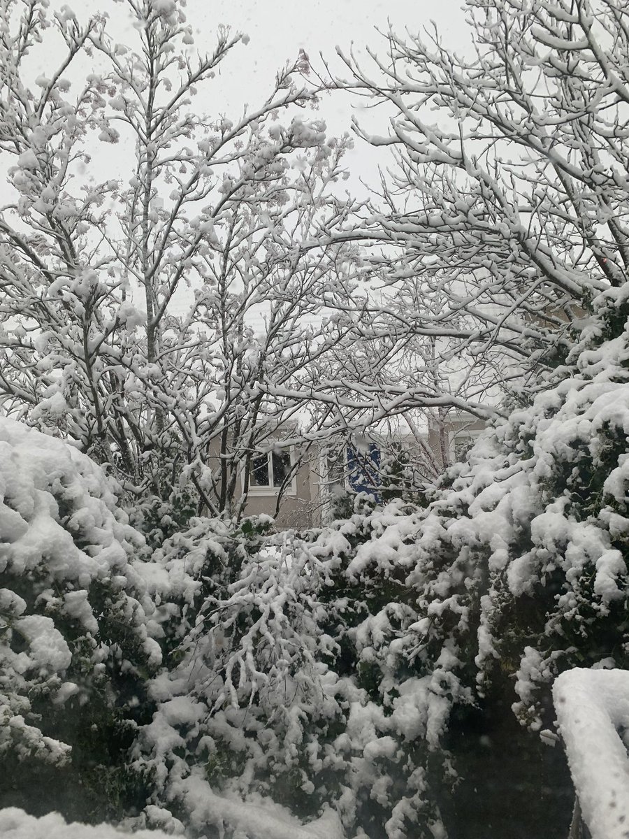 Odassity tweet media