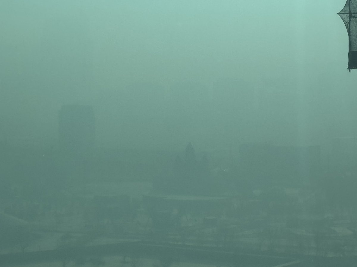 Огцруулна гэсэн үү? Дэмжиж байна. Тэр байтугай санхүүжүүлэхэд бэлэн! 1 сарын 11