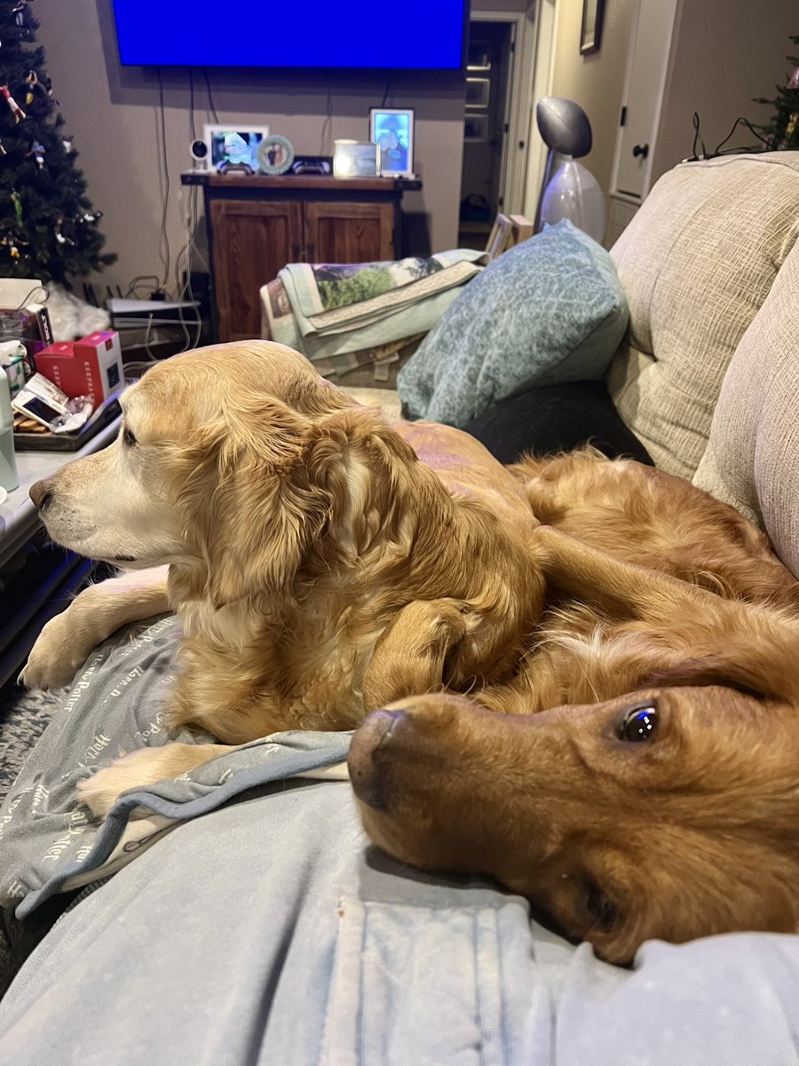 Breaking out the most expensive heated blankets money can buy 🔥