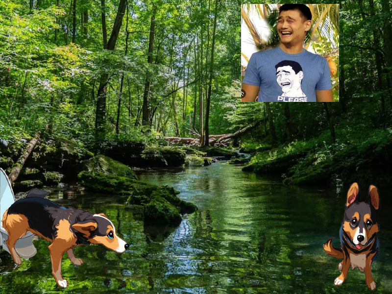 rmrtadianta's tweet photo. I’ve just farted while pissing with @pissingdogfarts new Fartcoin fork https://t.co/SrVz4Is1GQ