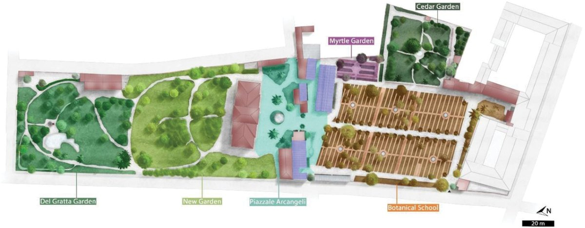 Italian Botanist tweet media