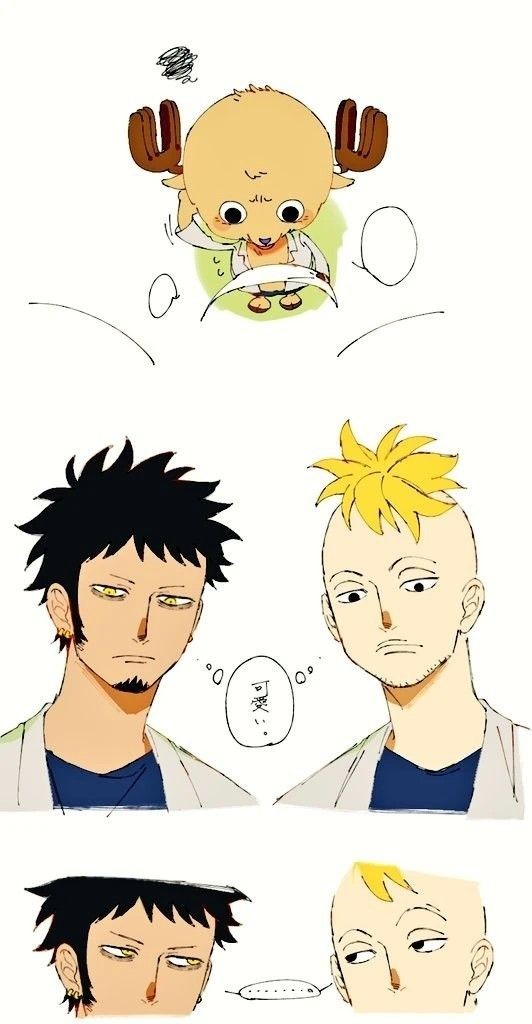 TonyTonyTonuwu's tweet photo. [@CaelestiPhoenix  @ElToraos ]

🍭-

Este.... gracias..por aceptarme en su grupo de médicos... https://t.co/w59NYaTi60
