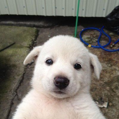 RT ) 기억해.. 트위터에서. .떠들다..
나만..퇴사햇잖ㅇL..
.
.
삼년전 인생 막냉이 죽지도 않고 또 왓네
(경) 재입사 (축)
나 .. 열어분이 제일 보고 싶었어 ..

알티 + 팔로우 해주심  잡으러 가요 ~ <3
나랑 트친하자며 ,, ( 맞괄 허락 받음 )

#트친소 #인생네컷 #이벤트
추첨을 통해서 인생네컷