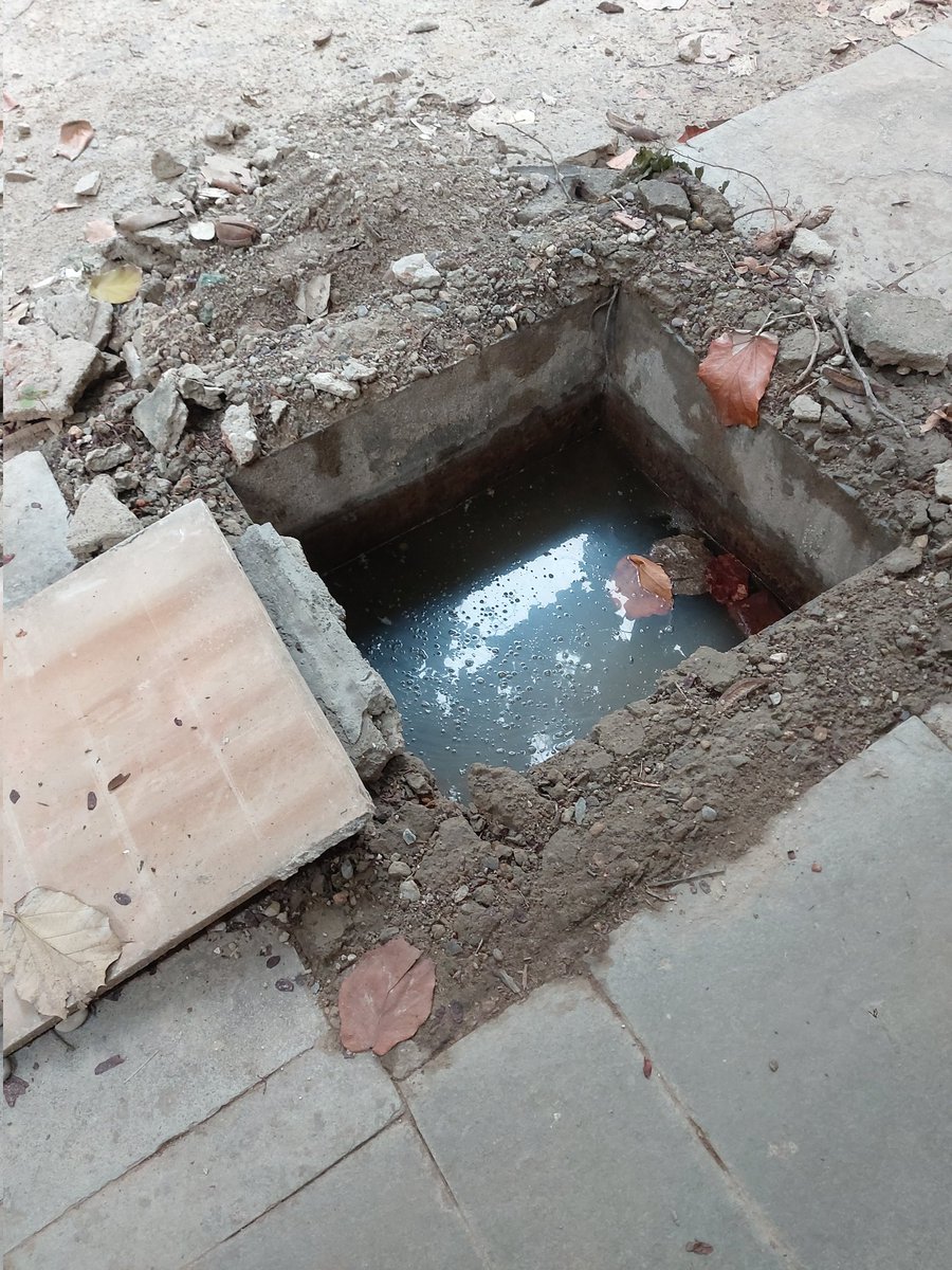 Rajiva2011's tweet photo. @CeoNoida @noida_authority
Death traps at Meghdutam Park sec50
 1. Open manhole with toilet liquid waste remains uncovered for almost a month 
2 .Electric junction boxes with open live wires . 
Maintenance pathetic.Need to engage  better contractor or better horticulture staff. https://t.co/4UybxqHYcC