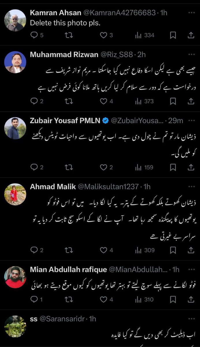 پٹواری لاجک بند کمروں میں جو مرضی کرو بس تصویر نہ لگاؤ 😂