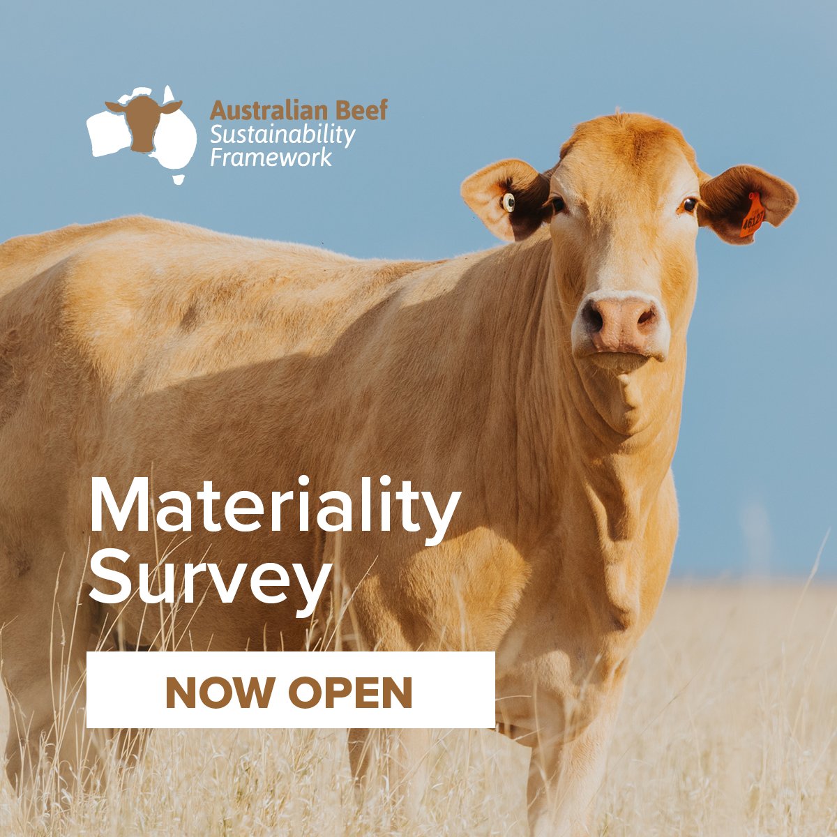 We've extended the closing date of the Australian Beef Sustainability Framework materiality survey! 📅 

Survey 👉 bit.ly/403mpk6 

Please take 15 minutes to share your views on how the Australian beef industry impacts people, animals, the environment, and the economy.