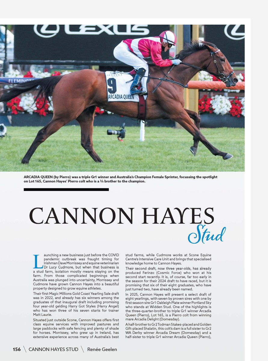cannon_stud's tweet photo. A bit of light reading about our draft ahead of the commencement of tomorrow's @mmsnippets yearling sale - thanks @Bluebloodsmag. 

📖https://t.co/tFvOpNzqIb https://t.co/1tOoMlF1rJ
